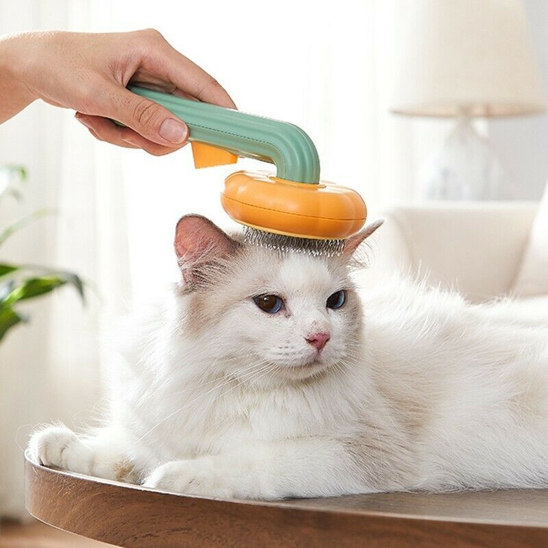 Transform Your Pet's Grooming Routine with the Self-Cleaning Slicker Brush